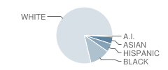 Jarrett Middle School Student Race Distribution