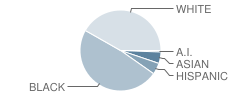 Flynn Park Elementary School Student Race Distribution