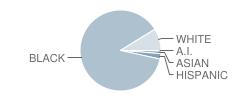 Brittany Woods School Student Race Distribution