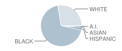 Philadelphia Middle School Student Race Distribution