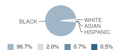 Canton School of Arts & Sciences Student Race Distribution