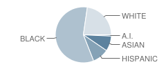 Gorenflo Elementary School Student Race Distribution