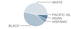 Michel 7th Grade School Student Race Distribution