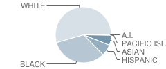 Biloxi Junior High School Student Race Distribution