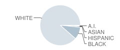 Enterprise High School Student Race Distribution