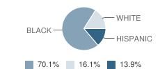 Forest High School Student Race Distribution