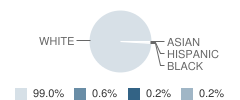 Agricola Elementary School Student Race Distribution