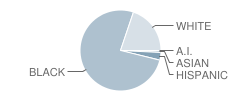 Gulfport Central Middle School Student Race Distribution