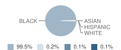 Peeples Middle School Student Race Distribution