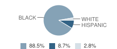 Sykes Elementary School Student Race Distribution