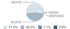 Northeast Lauderdale High School Student Race Distribution