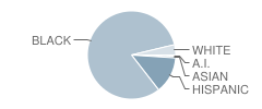 Mason Elementary School Student Race Distribution