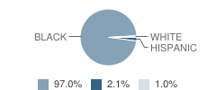 Oak Park Elementary School Student Race Distribution