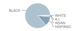 Stainton Elementary School Student Race Distribution