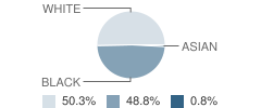 Monticello Elementary School Student Race Distribution