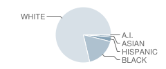 Caledonia Elementary School Student Race Distribution