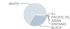 Caledonia High School Student Race Distribution