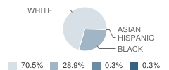 West Marion Elementary School Student Race Distribution