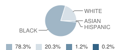 Magnolia Jr High School Student Race Distribution