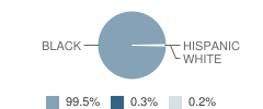 Noxubee County High School Student Race Distribution