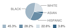 Jackson Elementary School Student Race Distribution