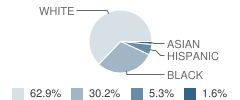 Martin Bluff School Student Race Distribution