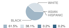 Quitman Lower Elementary School Student Race Distribution