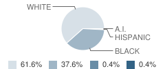 Lake Middle School Student Race Distribution