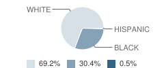 Raleigh High School Student Race Distribution