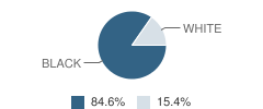 South Pike Jr High School Student Race Distribution