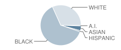 Henderson Intermediate School Student Race Distribution