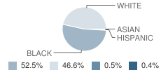 Warren Central Junior High School Student Race Distribution