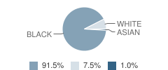 Bay Springs Middle School Student Race Distribution