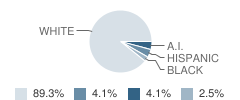 Broadus School Student Race Distribution