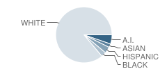 Whittier School Student Race Distribution