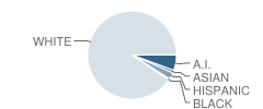 Emerson School Student Race Distribution