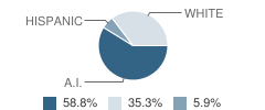 Dixon Elementary School Student Race Distribution