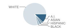 Roosevelt School Student Race Distribution