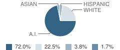 Hardin Intermediate School Student Race Distribution