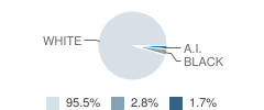 Hillcrest School Student Race Distribution