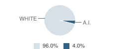 Alder School Student Race Distribution