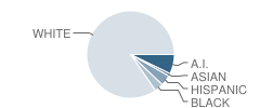 Russell School Student Race Distribution