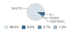 Plains 7-8 School Student Race Distribution