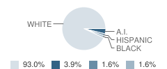 Mountain View School Student Race Distribution