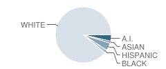 Shelby Elementary School Student Race Distribution