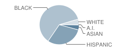 Joseph W Grier Academy Student Race Distribution