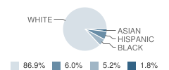 Friendship Elementary School Student Race Distribution