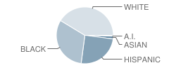 Mcleansville Elementary School Student Race Distribution