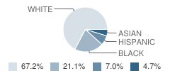 Newton-Conover Health / Science School Student Race Distribution