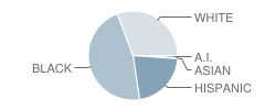 Wakelon Elementary School Student Race Distribution